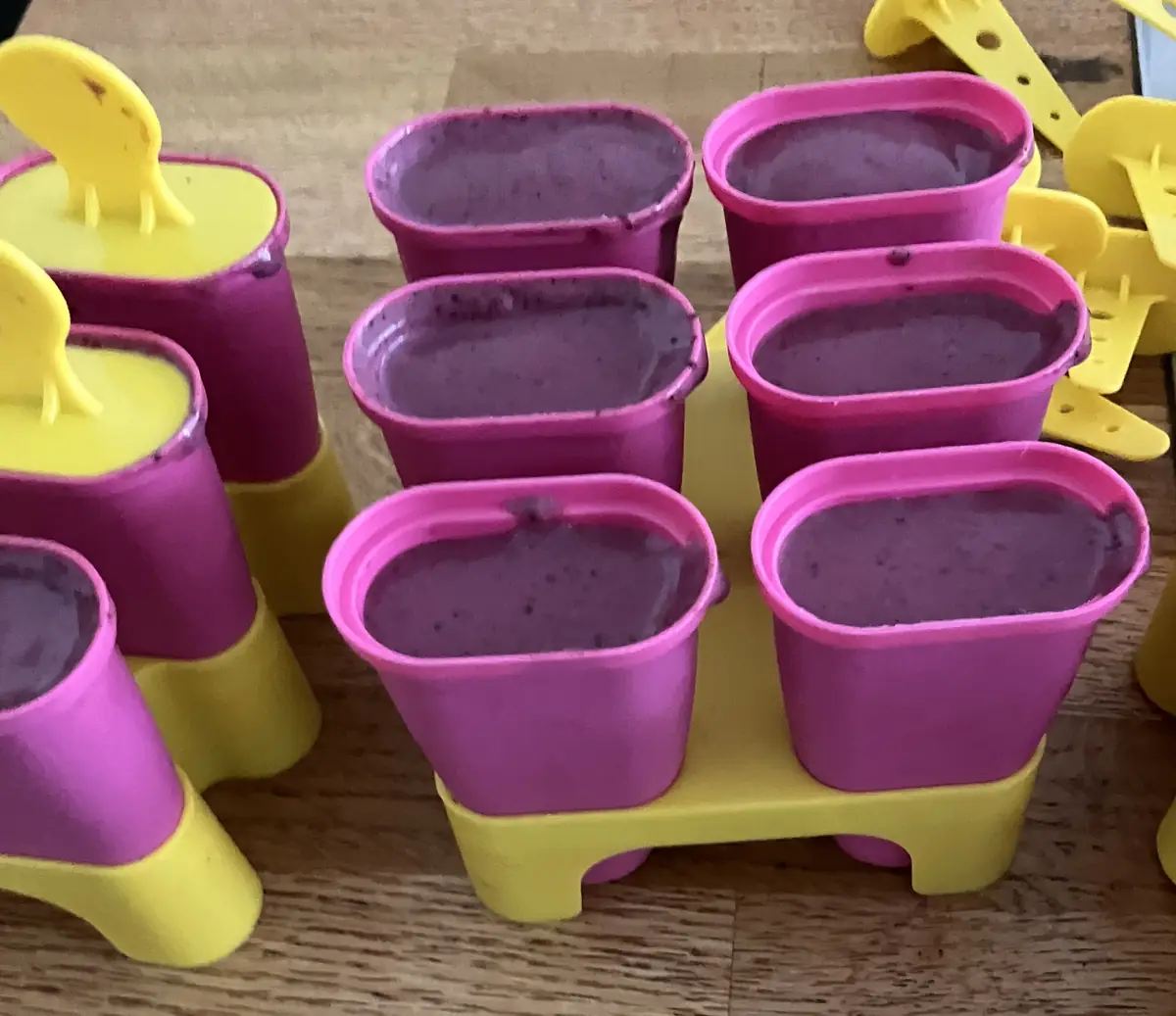 Homemade fruity lollies from the source document